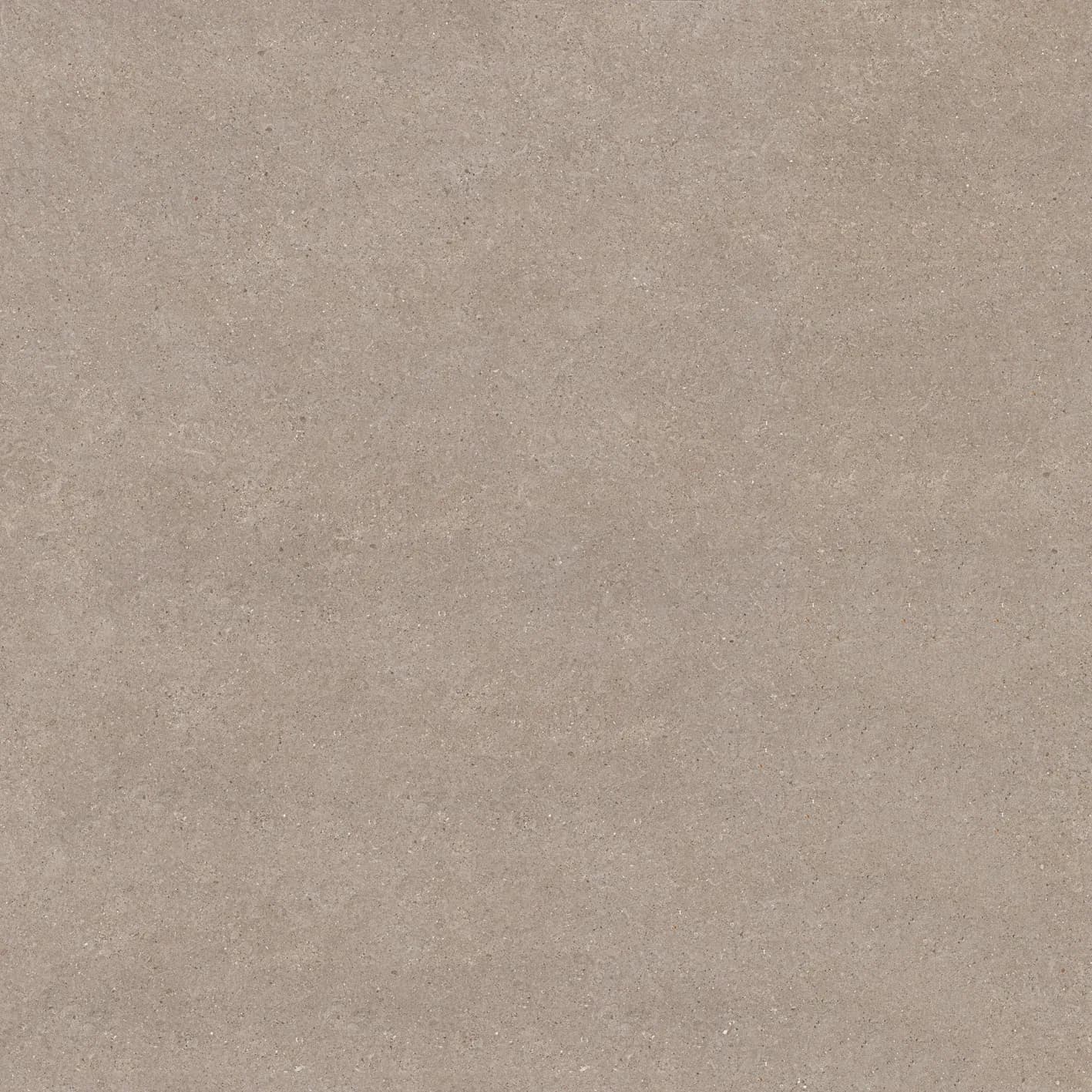 Lyra Dark Grey slab 60 X 60 CM 2