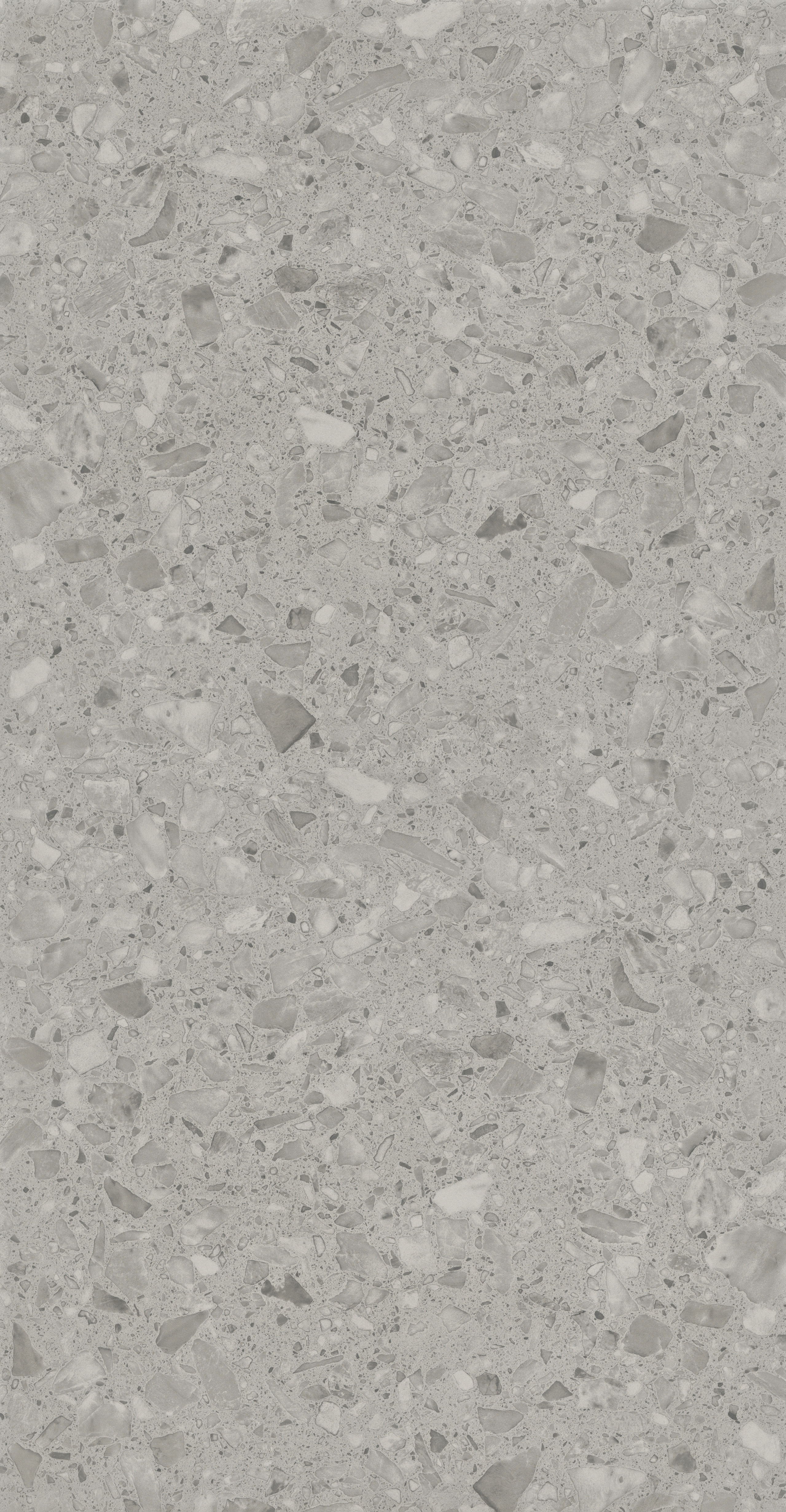 Alberta Grey slab 60 X 120 CM 1