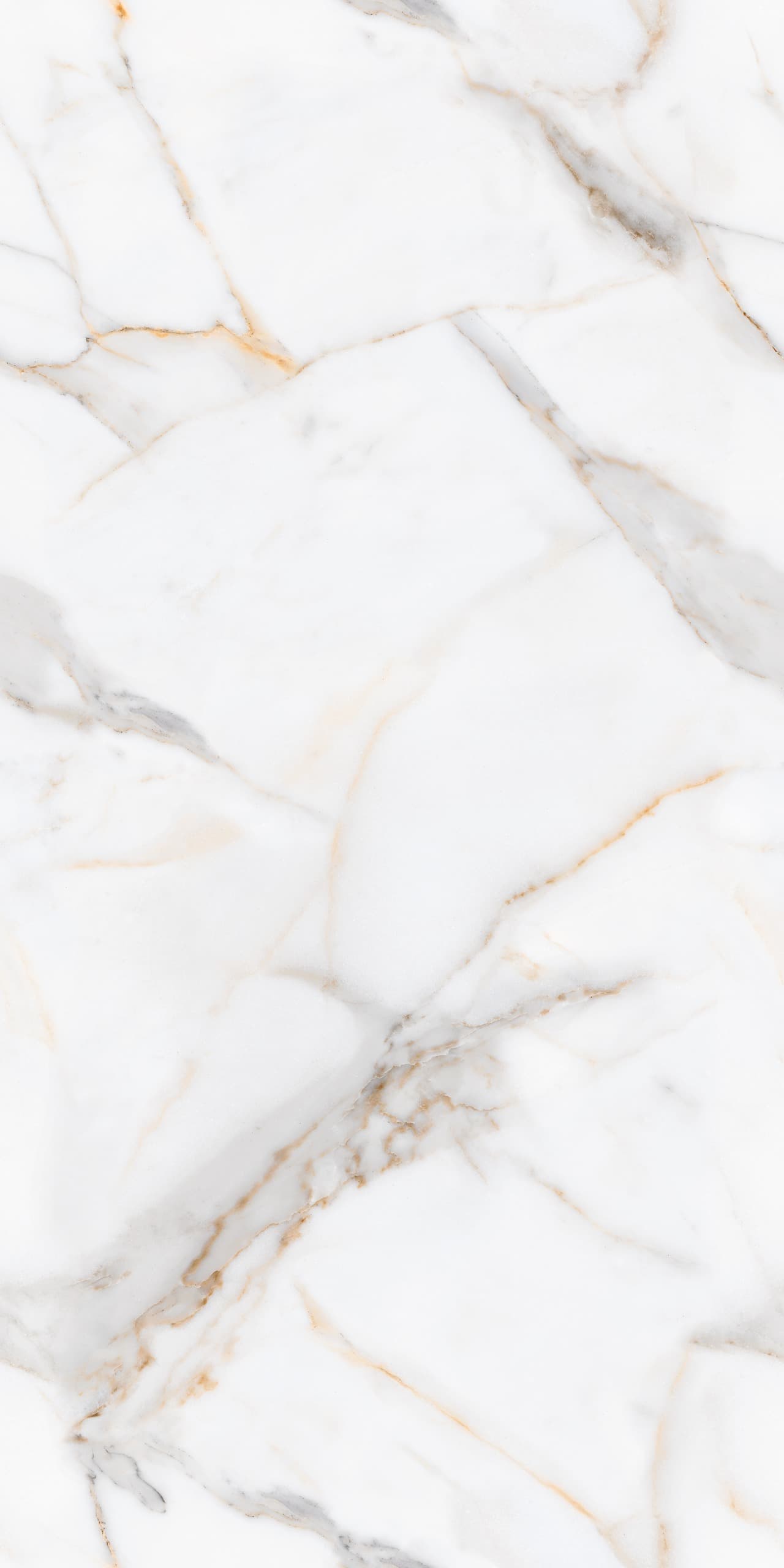 Vecchia Gold slab 60 X 120 CM 2