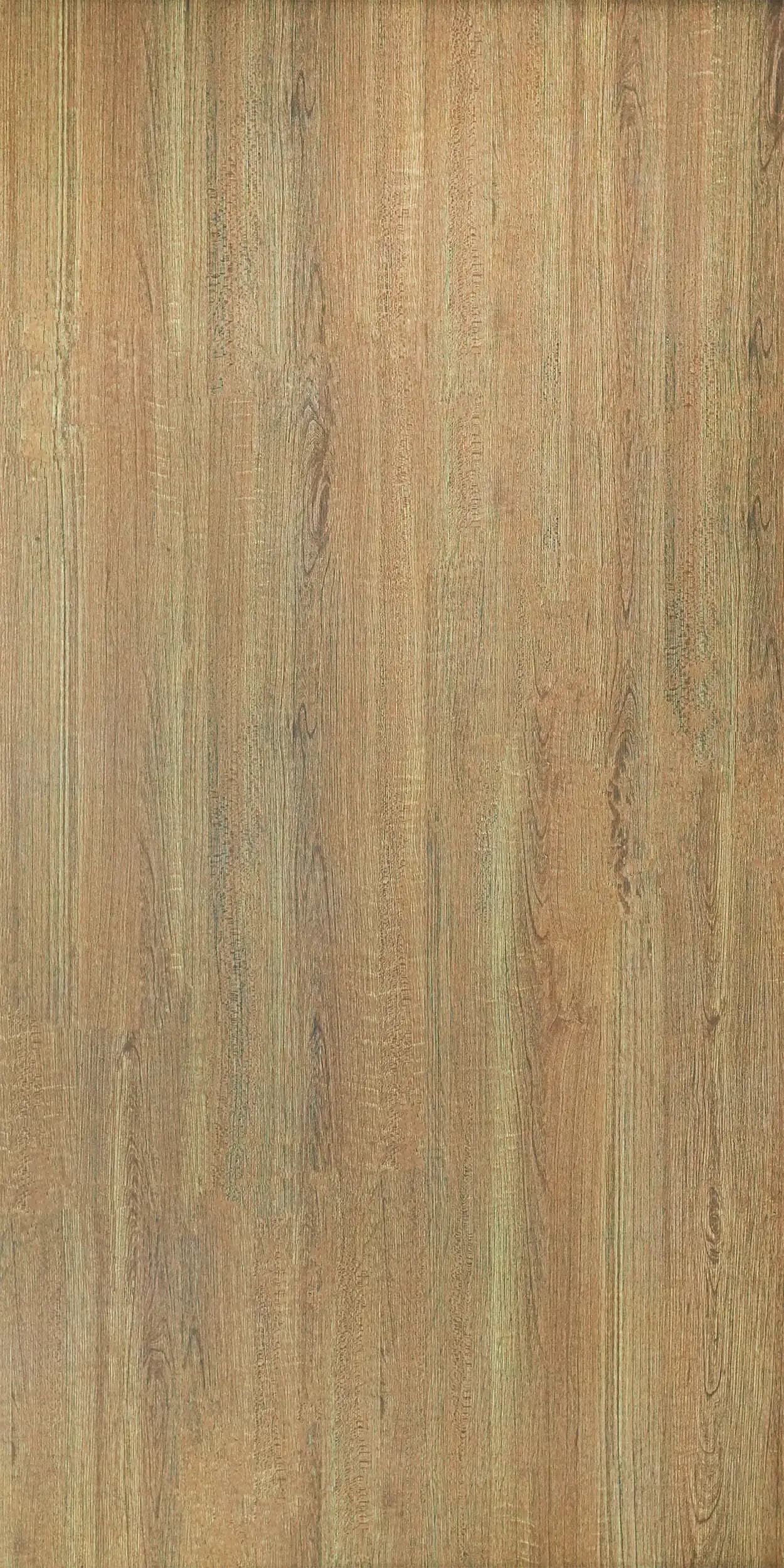 Mahogany Honey slab 60 X 120 CM 1