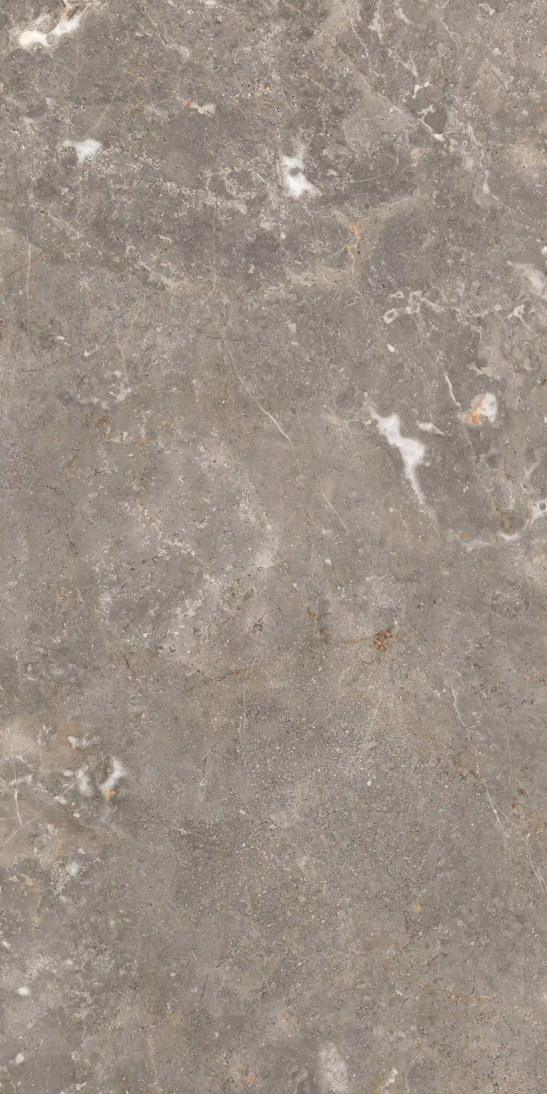 Aldo Grey slab 60 X 120 CM 3