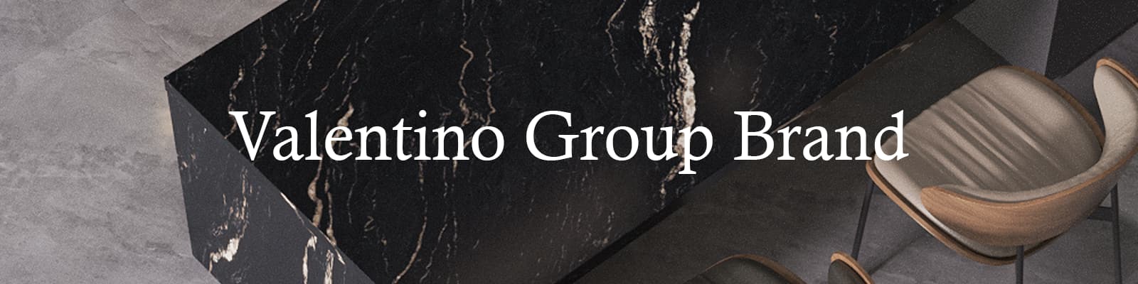 Valentino Group Banner