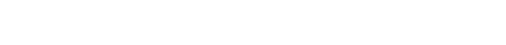 Valentino Group