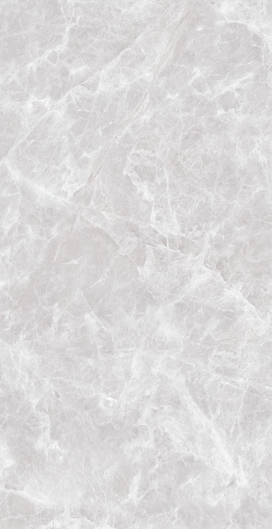Grey Nordic
