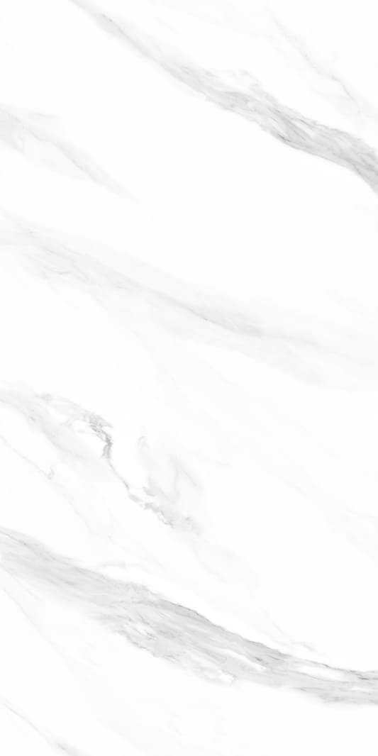 Siberian White