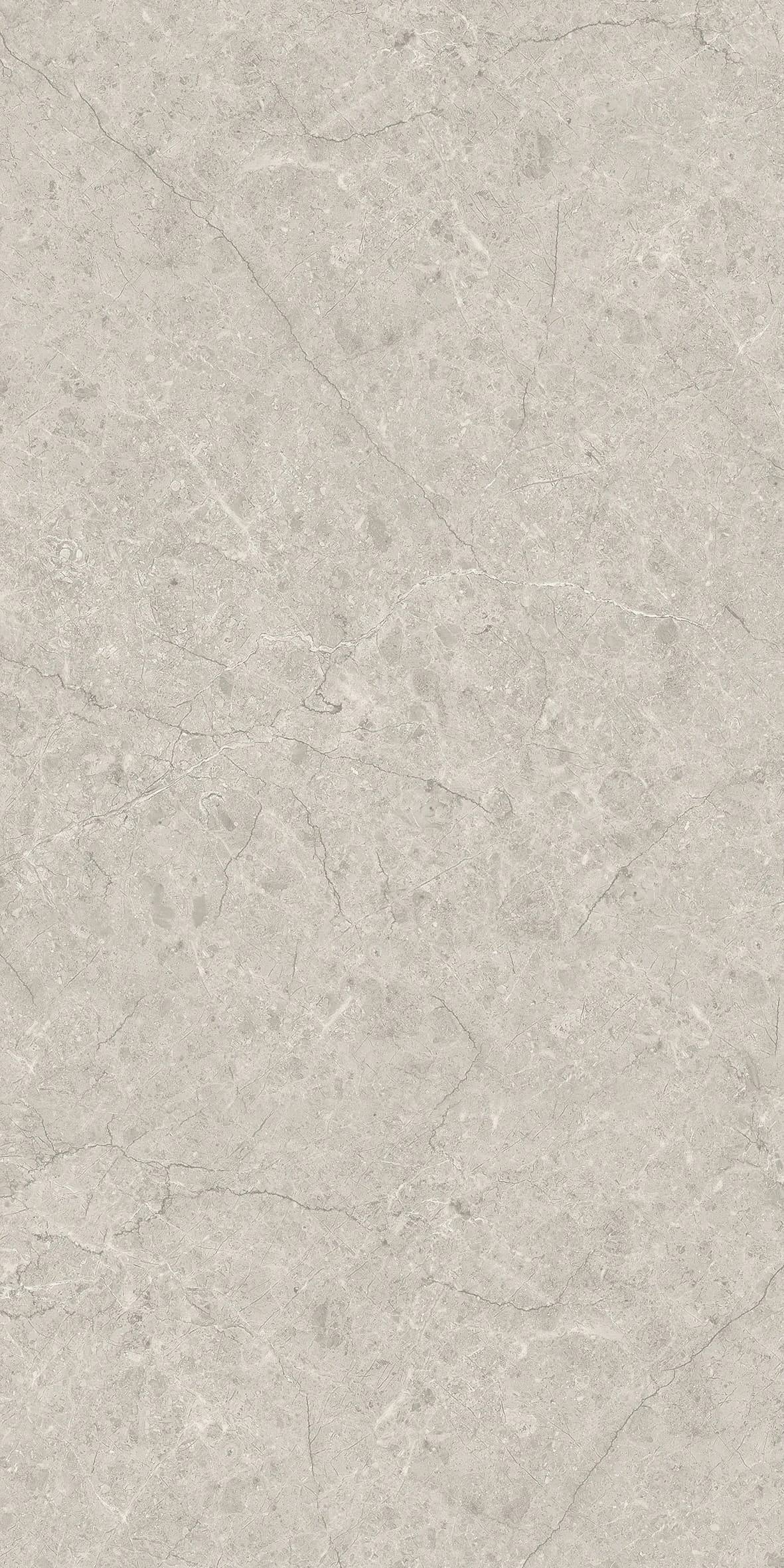 Arctic Grey